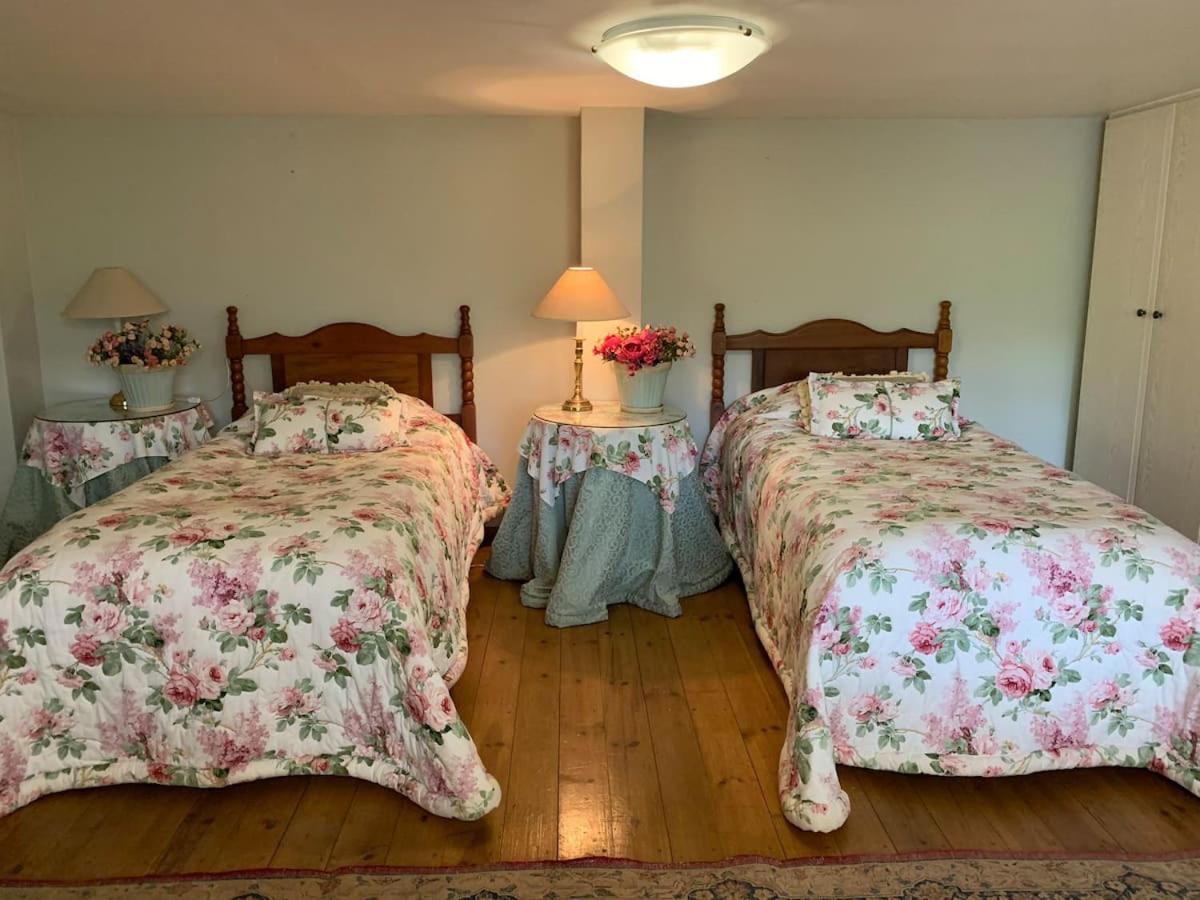 Mountain Rose Guesthouse Louis Trichardt Exteriör bild