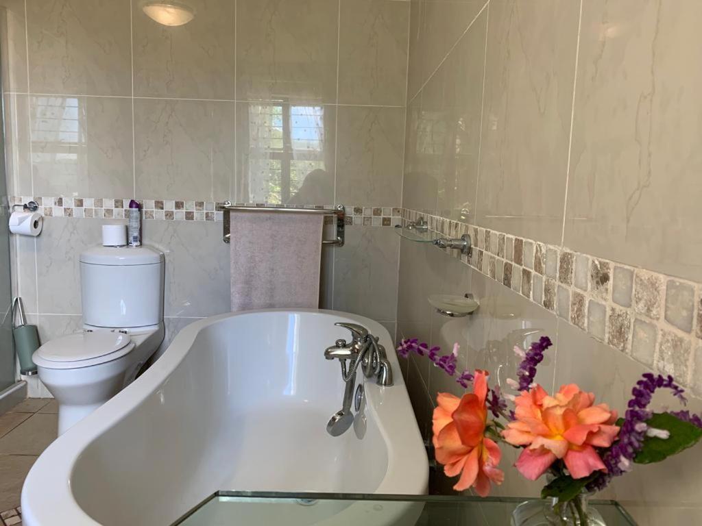 Mountain Rose Guesthouse Louis Trichardt Exteriör bild